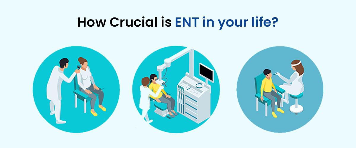 How Crucial is ENT in your life?