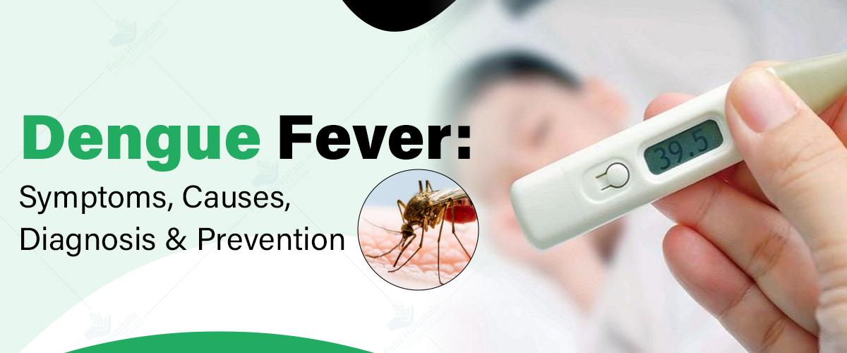 Dengue Fever: Symptoms, Causes, Diagnosis & Prevention