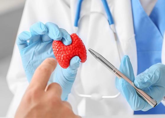 Best Endocrinology Hospital In Noida