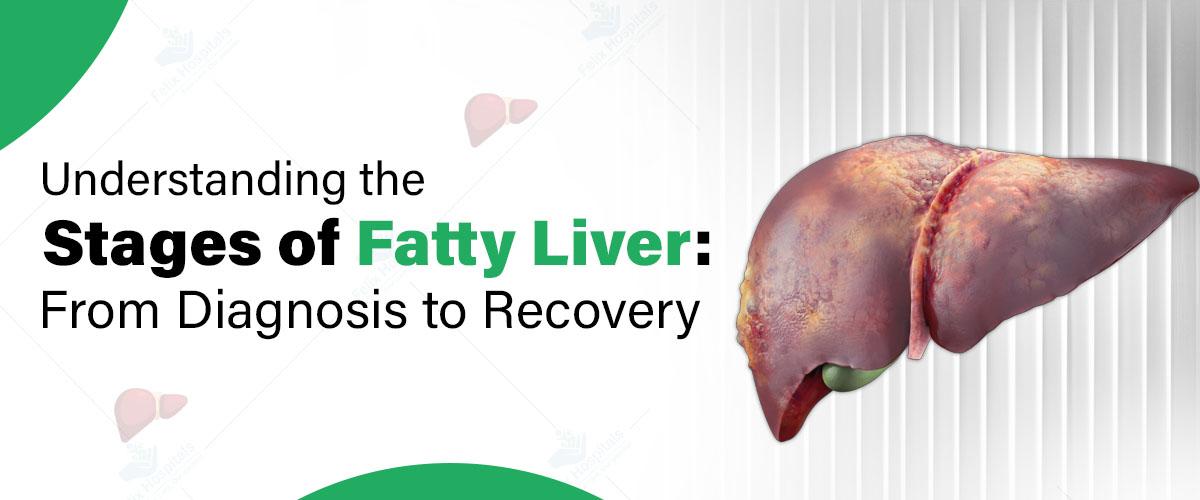 Understanding the Stages of Fatty Liver: From Diagnosis to Recovery