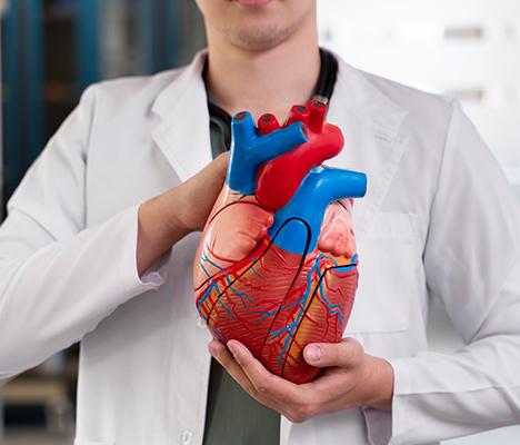 Cardiology in Greater Noida