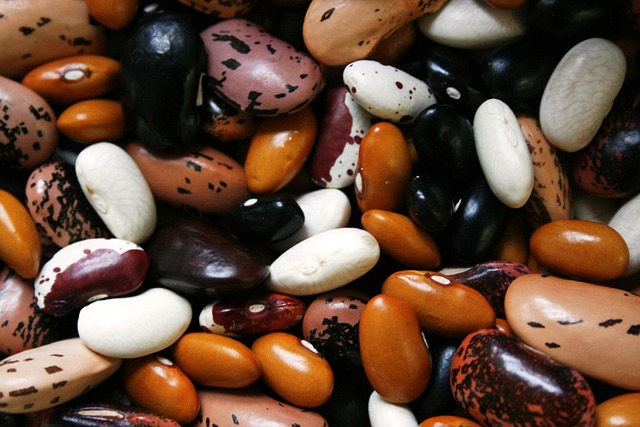 Legumes & Beans