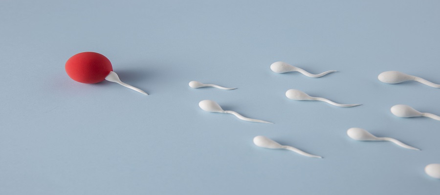 low sperm count