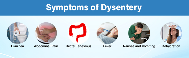 symptoms of dysentery