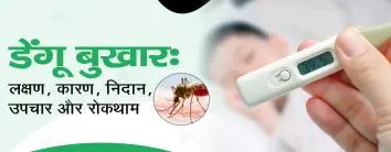 Dengue Fever in Hindi