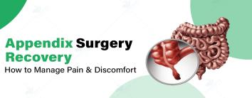 Best Appendicitis Appendix Surgery