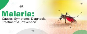 Best Hospital for Malaria treatment 