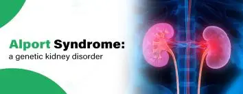 Alport Syndrome: A Genetic Kidney Disorder