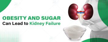 Obesity And Sugar Can Lead to Kidney Failure