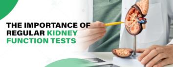 Kidney Function Tests