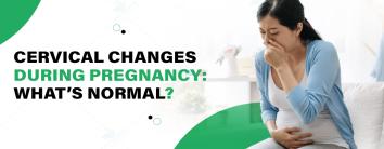 Cervical Changes During Pregnancy