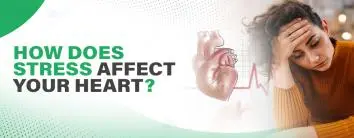 How Stress Affects Your Heart