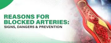 Reasons for Blocked Arteries