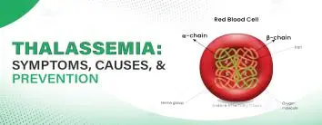 Thalassemia: Symptoms, Causes, and Prevention