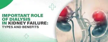 Important Role of Dialysis in Kidney Failure: Types and Benefits