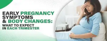 Early Pregnancy Symptoms and Body Changes: What to Expect in Each Trimester