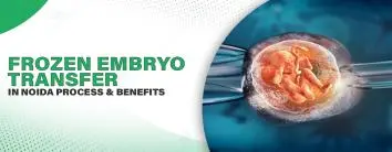 Frozen Embryo Transfer in Noida: Process and Benefits