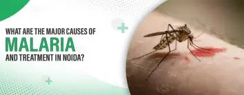 What are the Major Causes of Malaria and Treatment in Noida?