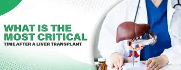 Liver Transplant