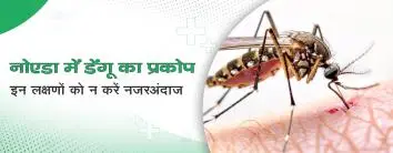 नोएडा में डेंगू का प्रकोप