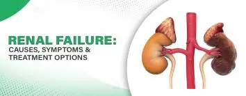 Renal Failure: Causes, Symptoms & Treatment Options
