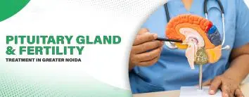 Pituitary Gland and Fertility