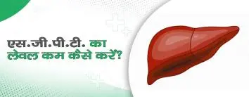एसजीपीटी का लेवल कम कैसे करें?