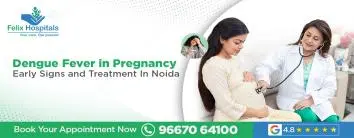 Dengue Fever in Pregnancy: Early Signs and Treatment In Noida