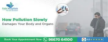 Pollution Slowly Damages Your Body and Organs