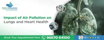 Impact of Air Pollution on Lungs and Heart Health