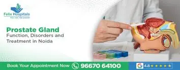 Prostate Gland: Function, Disorders and Treatment in Noida