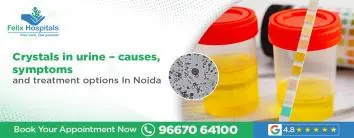 Crystals in Urine – Causes, Symptoms & Treatment Options in Noida
