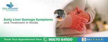 Early Liver Damage Symptoms and Treatment In Noida