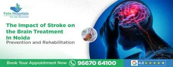 The Impact of Stroke on the Brain