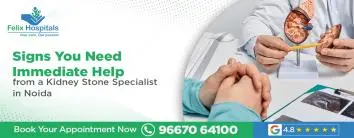 Signs You Need Immediate Help from a Kidney Stone Specialist in Noida