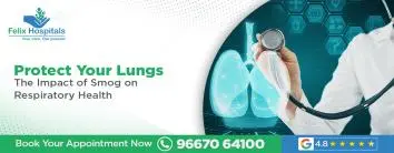 Protect Your Lungs: The Impact of Smog on Respiratory Health