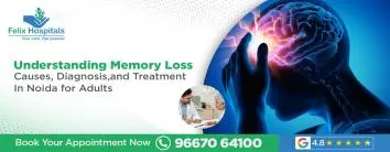 Understanding Memory Loss