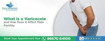 What is a Varicocele, and How Does It Affect Male Fertility?