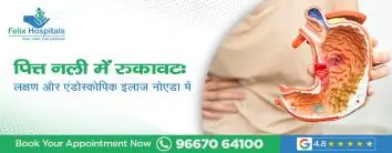 पित्त नली में रुकावट: लक्षण और एंडोस्कोपिक इलाज नोएडा में उपलब्ध