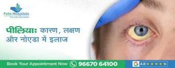 पीलिया: कारण, लक्षण और नोएडा में इलाज