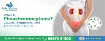 Pheochromocytoma