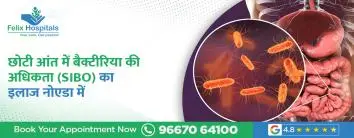 छोटी आंत में बैक्टीरिया की अधिकता (SIBO) का इलाज नोएडा में