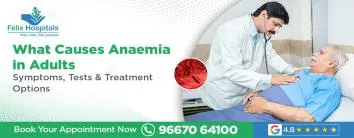 What Causes Anaemia in Adults