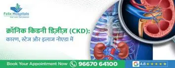 क्रॉनिक किडनी डिज़ीज़ (CKD): कारण, स्टेज, लक्षण और इलाज