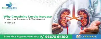 Why Creatinine Levels Increase: Common Reasons & Treatment In Noida