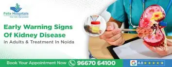 Early Warning Signs of Kidney Disease in Adults & Treatment in Noida