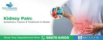 Kidney Pain: Symptoms, Causes & Treatment In Noida