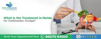 What Is the Treatment in Noida for Gallbladder Sludge?