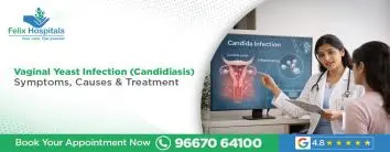 Vaginal Yeast Infection (Candidiasis)